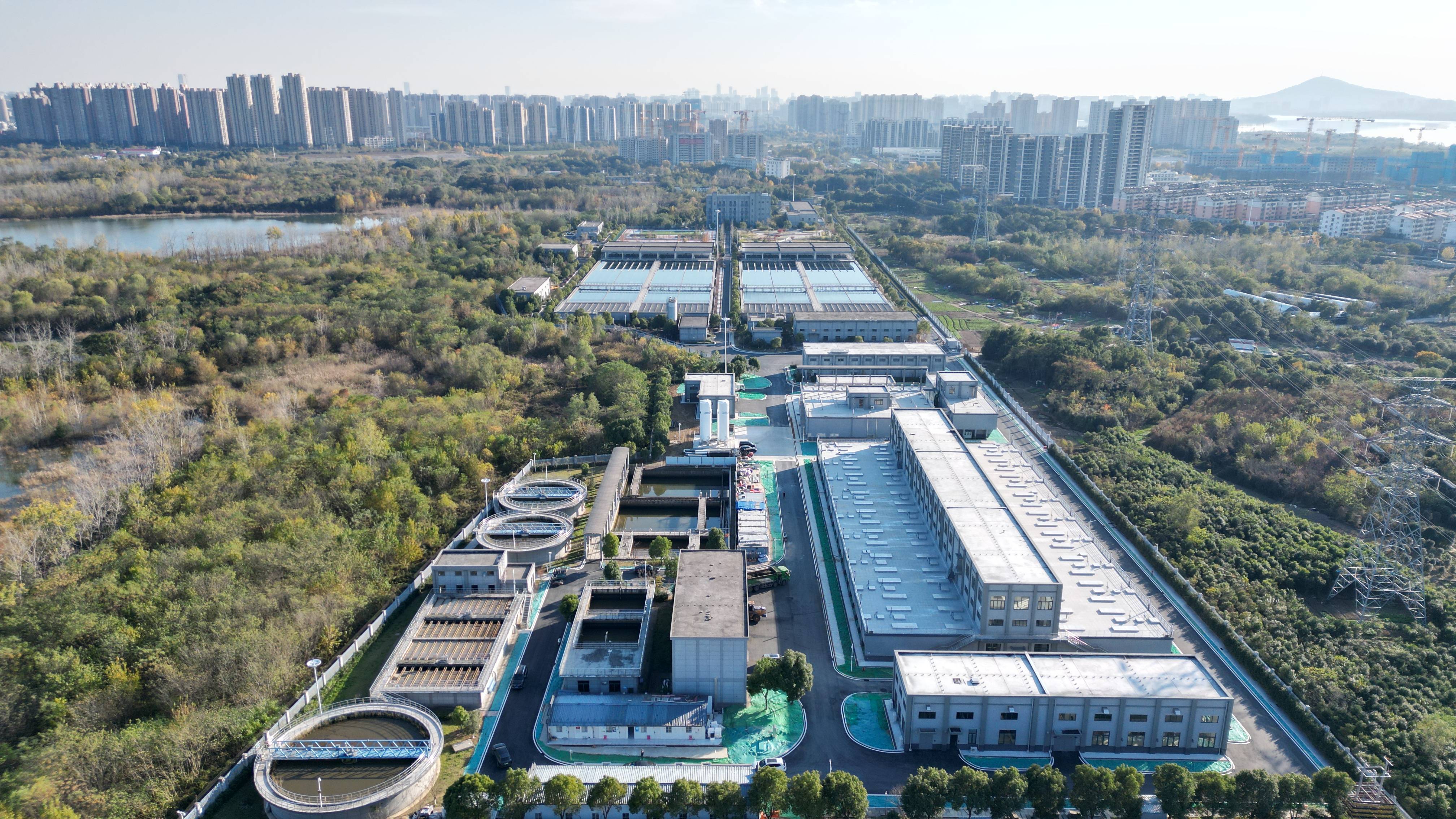 合作市合肥专业企业价值增长(合肥市重点企业产业目录)