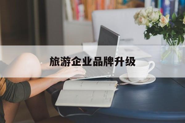合作市旅游企业品牌升级(旅游企业品牌升级措施)