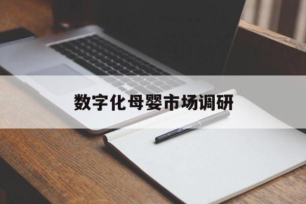 合作市数字化母婴市场调研(数字化母婴市场调研报告)